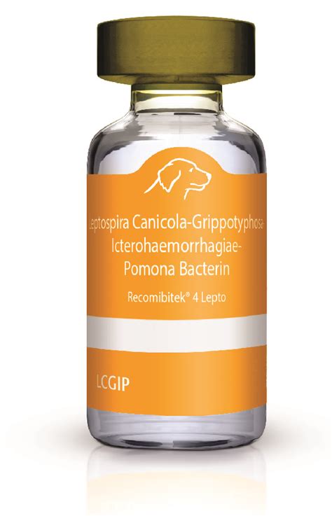 RECOMBITEK 4 Lepto for Dogs .